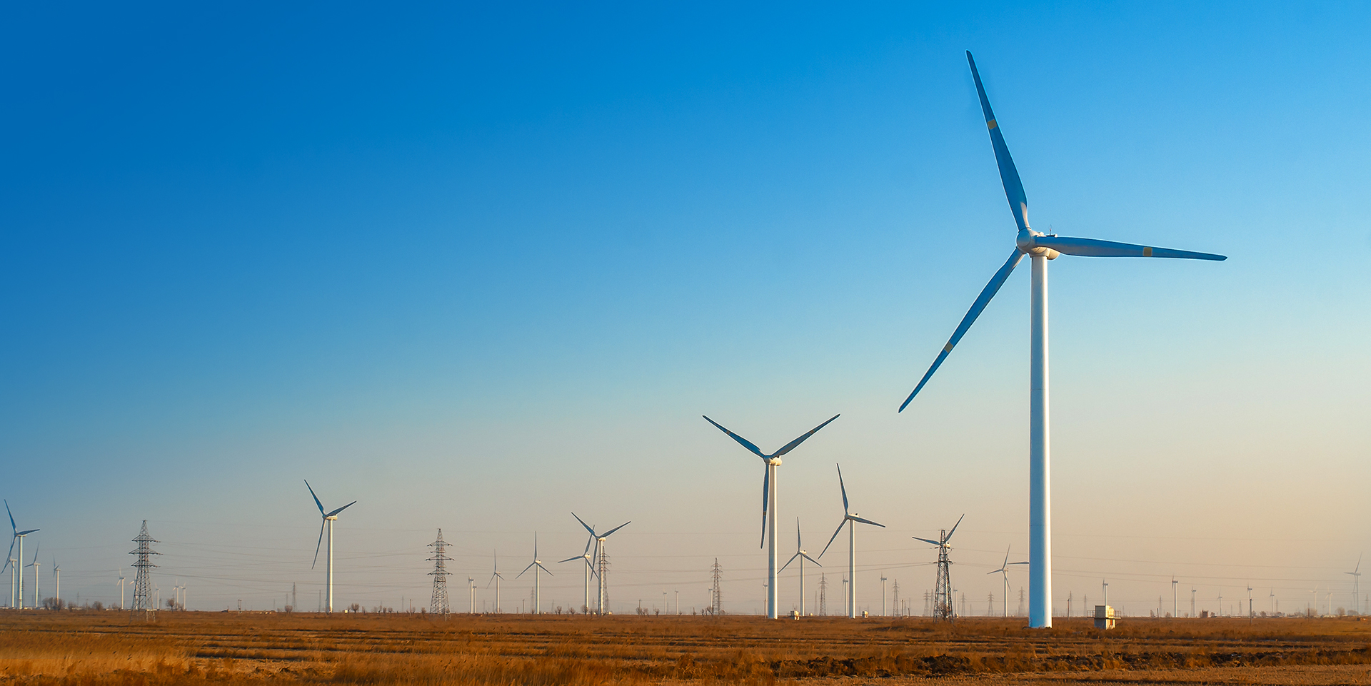 55世纪-购彩大厅welcome(中国游)官方网站