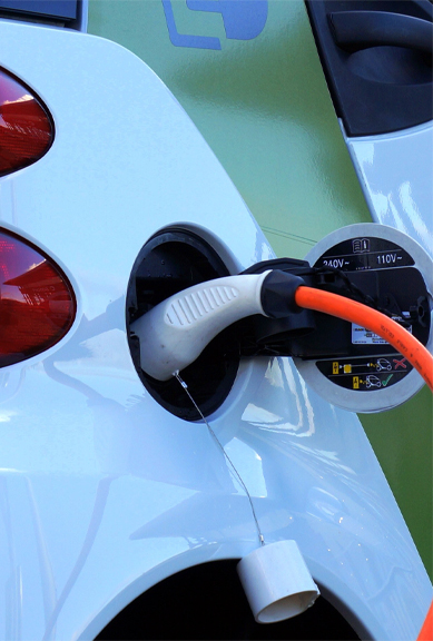 55世纪-购彩大厅welcome(中国游)官方网站