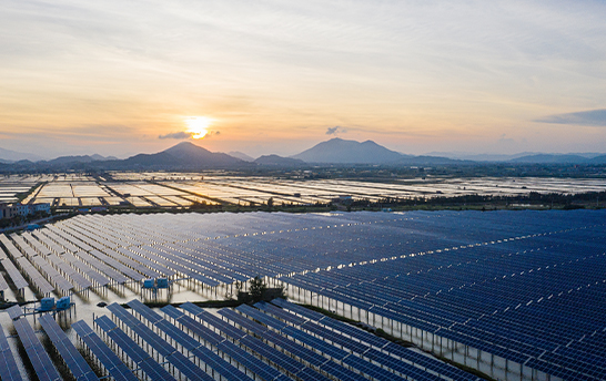 55世纪-购彩大厅welcome(中国游)官方网站