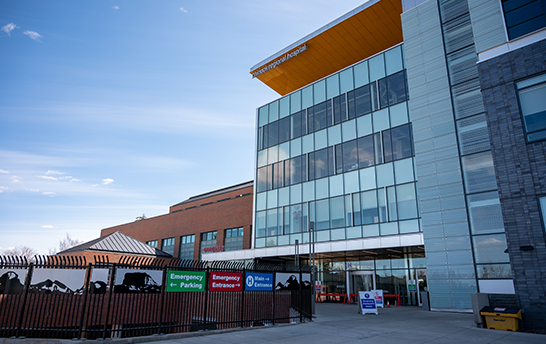 55世纪-购彩大厅welcome(中国游)官方网站