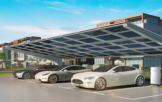 55世纪-购彩大厅welcome(中国游)官方网站